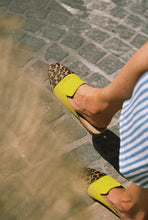 Load image into Gallery viewer, Yellow Tang