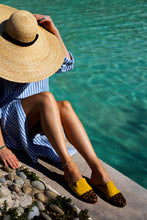 Load image into Gallery viewer, Yellow Tang