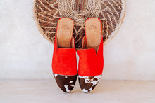 Load image into Gallery viewer, Red Snapper